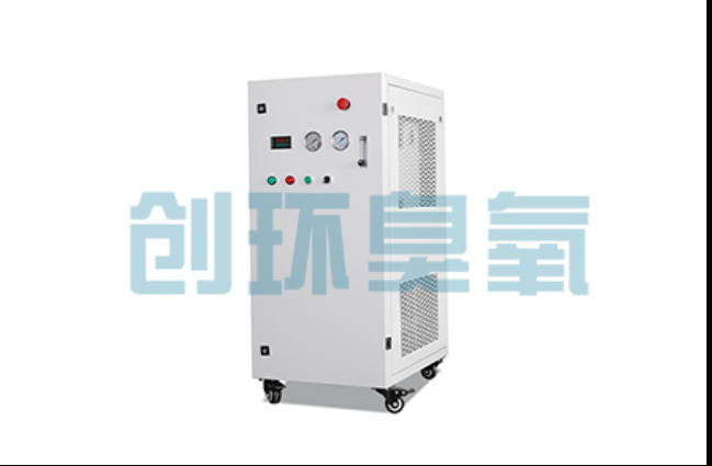 吴忠工厂化养鲈必看:2026年臭氧发生器替代传统消毒的最新方案
