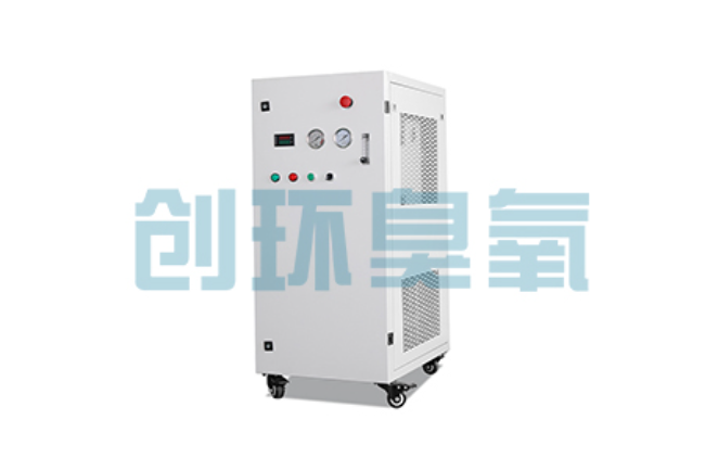 吴忠比传统换水更高效?臭氧发生器在石斑鱼养殖中的水质净化原理解析