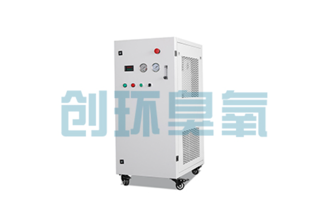 吴忠比传统换水更高效?臭氧发生器在石斑鱼养殖中的水质净化原理解析